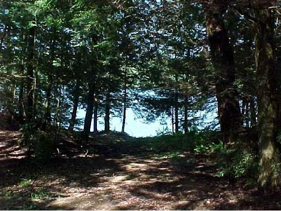 0 Lewin Road Enfield, NH 03240 - Photo 1 of 4