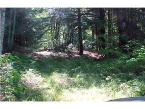 0 Lewin Road Enfield, NH 03240 - Photo 3 of 4