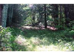 0 Lewin Road Enfield, NH 03240 - Photo 4 of 4