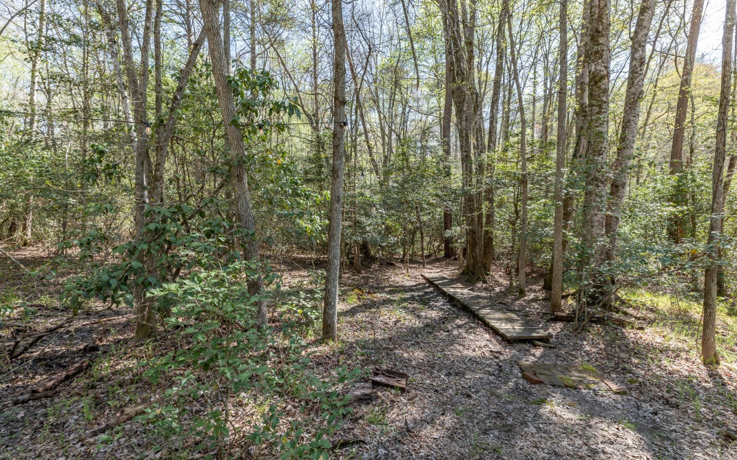 25 Laurel Ridge Morganton, GA 30560 - Photo 31 of 75 Additional View