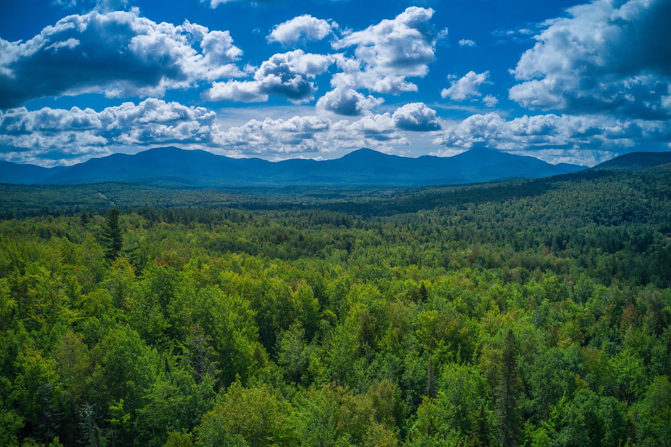 0 River Road Bethlehem, NH 03574 - Photo 1 of 11 Gallery Image 1