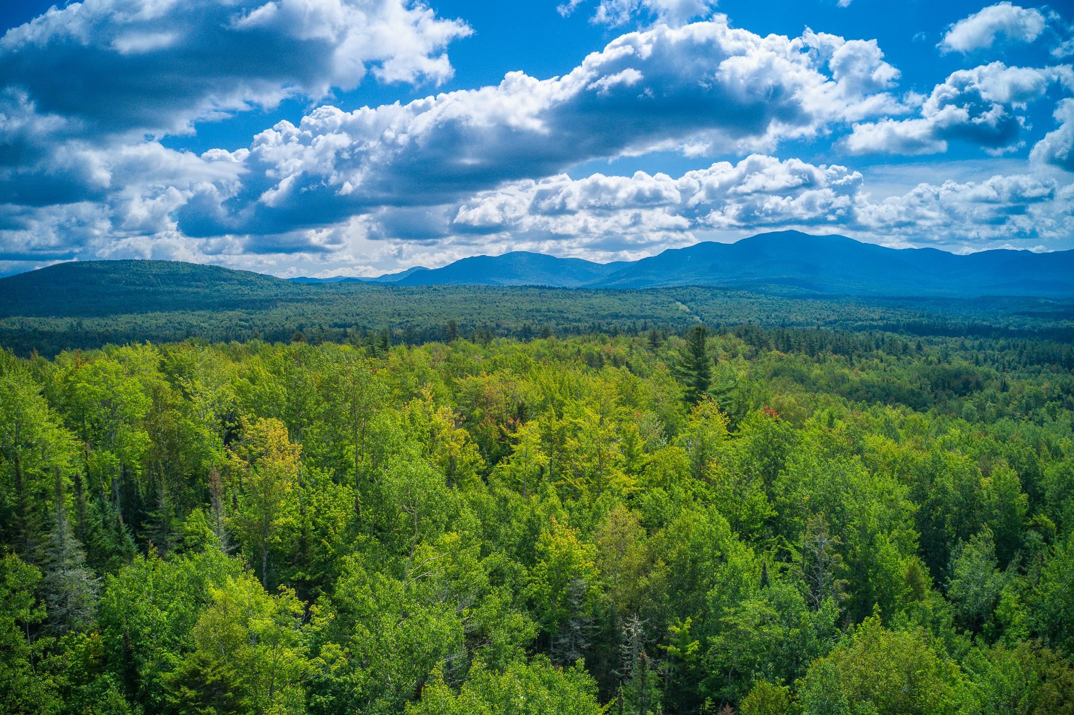 0 River Road Bethlehem, NH 03574 - Photo 4 of 11 Gallery Image 4