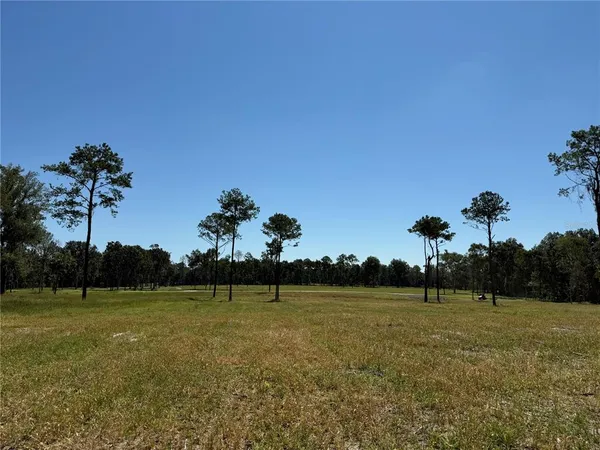 $1,301,580 | 84 Northwest 193rd Street, Reddick, FL 32686