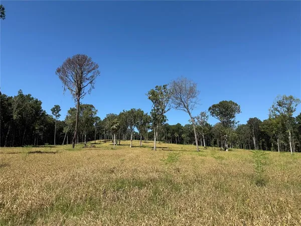 $1,301,580 | 84 Northwest 193rd Street, Reddick, FL 32686