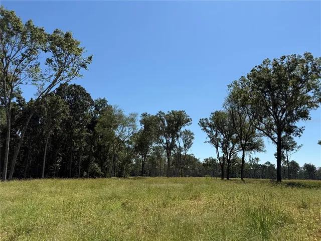 a view of a yard with trees in the background