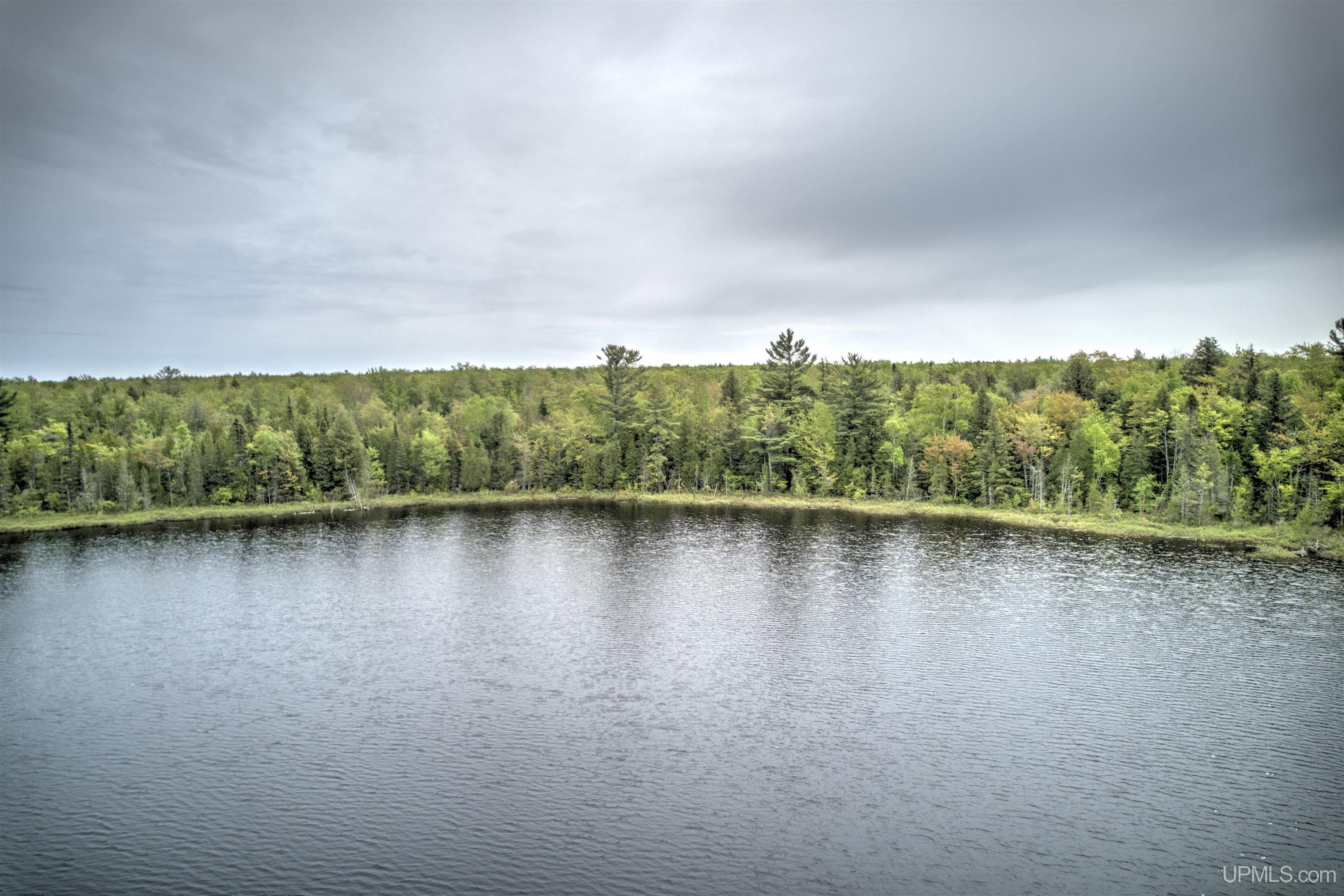 Tbd Tbd Segan Road Deerton, MI 49822 - Photo 1 of 21