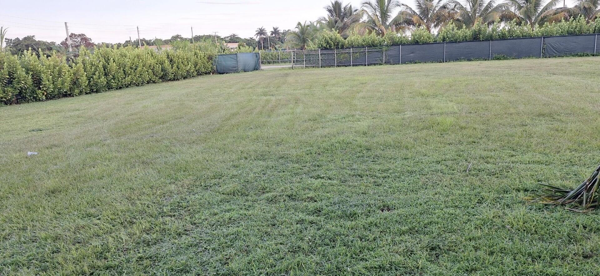 19741 Southwest 325th Street Homestead, FL 33030 - Photo 3 of 7 a view of a field with trees in the background