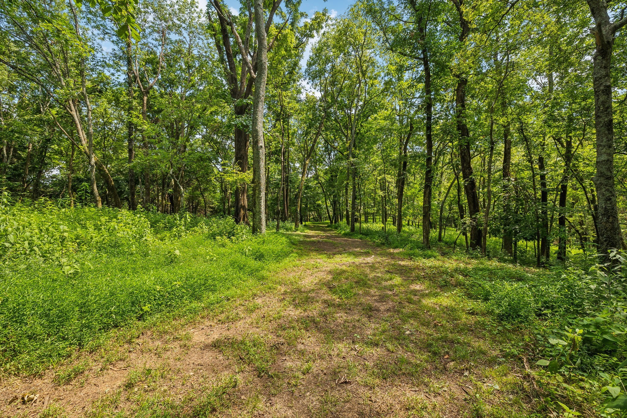 408 Phillips Road Lebanon, TN 37087 - Photo 44 of 52 Gallery Image 44