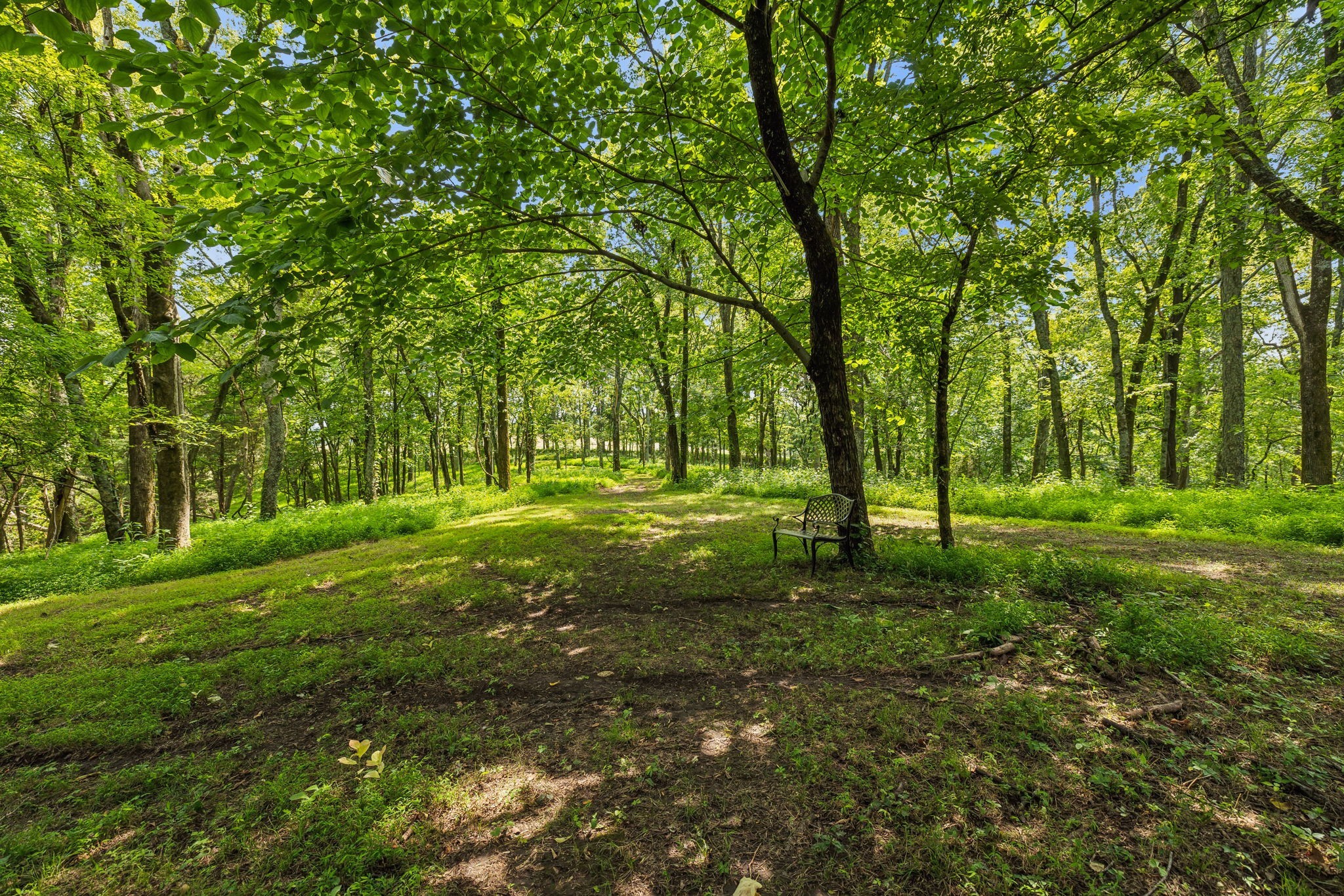 408 Phillips Road Lebanon, TN 37087 - Photo 45 of 52 Gallery Image 45
