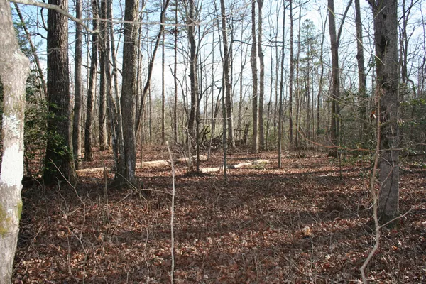 a view of outdoor space with deck