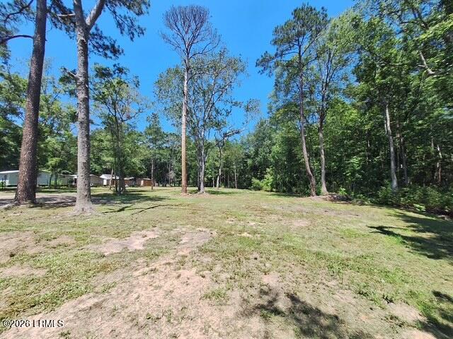 293 Meredith Road Ridgeland, SC 29936 - Photo 34 of 37 1000089327