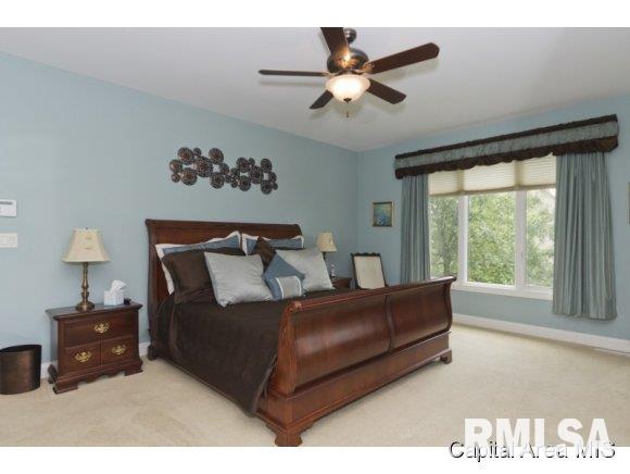 491 Overton Road Springfield, IL 62711 - Photo 13 of 24
