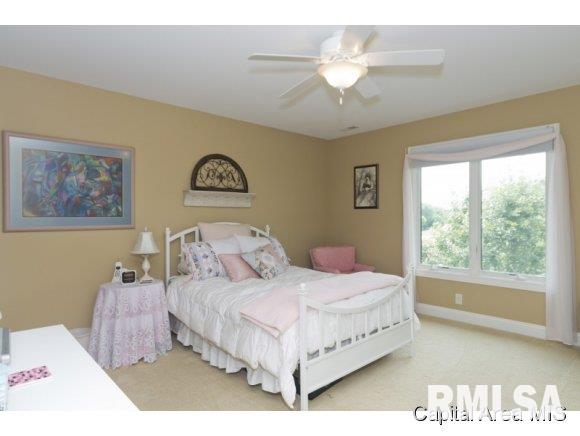 491 Overton Road Springfield, IL 62711 - Photo 17 of 24