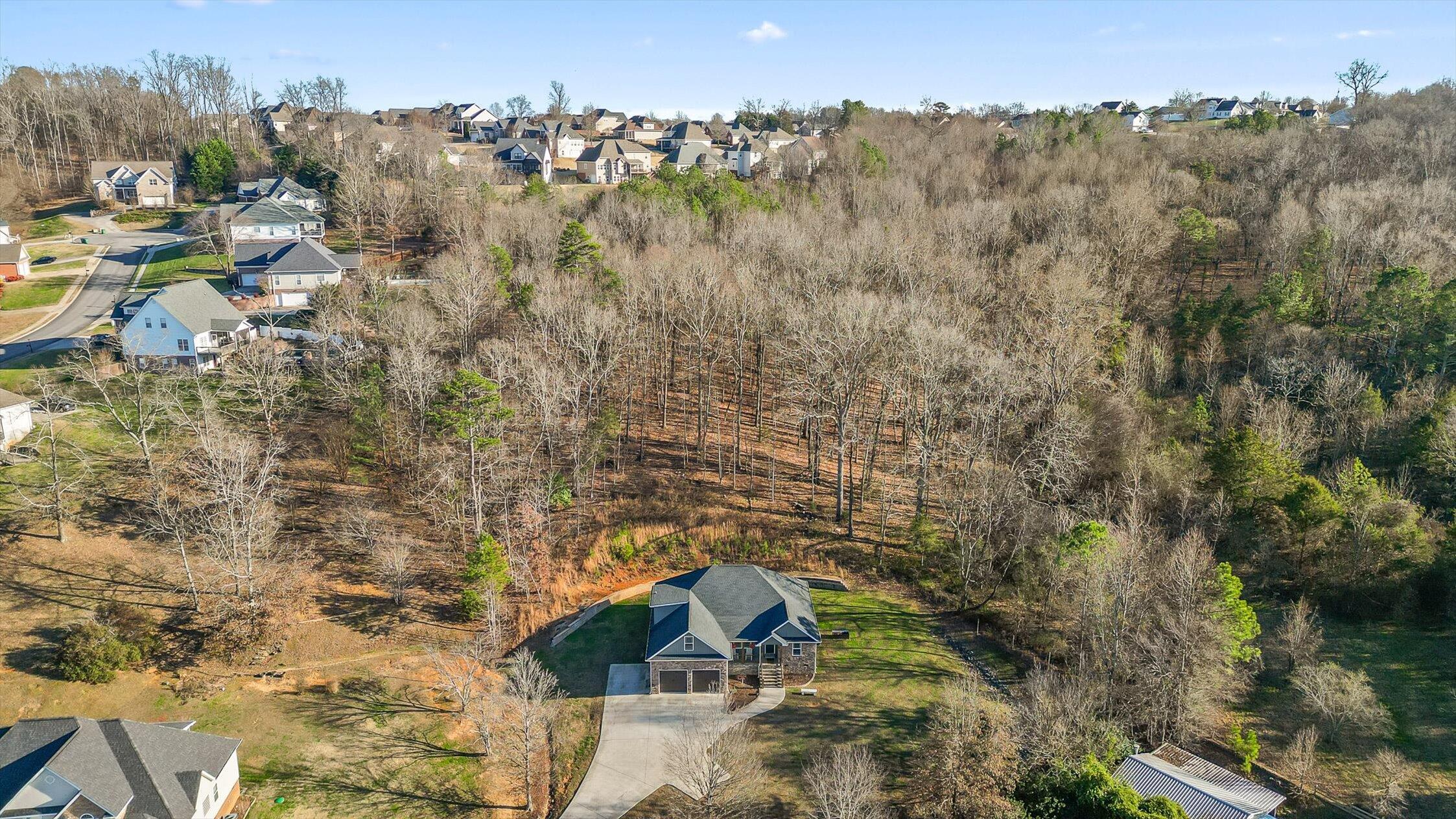 68 Buster Ridge Lane Ringgold, GA 30736 - Photo 44 of 54 46-Buster-46
