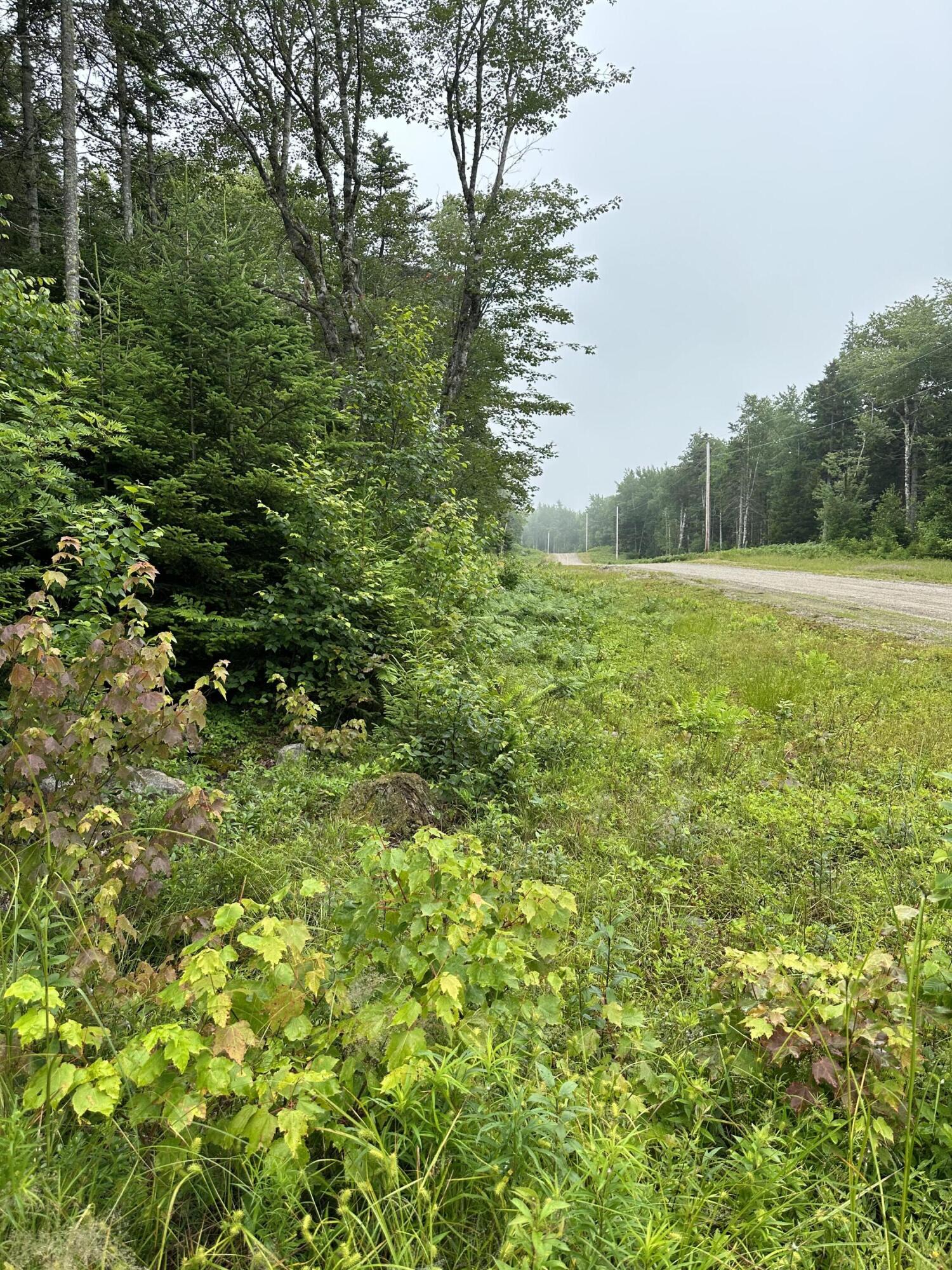 Lot 44 Estates Road Steuben, ME 04680 - Photo 2 of 8