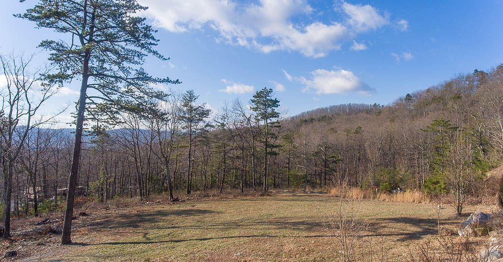2559 Salt Pond Road Blue Ridge, VA 24064 - Photo 3 of 39 a view of a yard with mountain