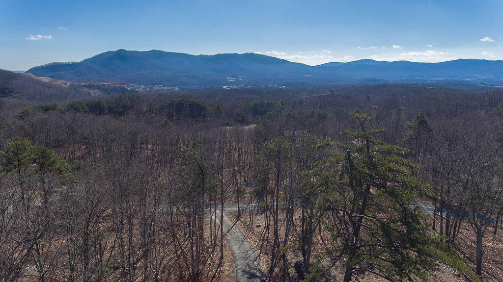 2559 Salt Pond Road Blue Ridge, VA 24064 - Photo 6 of 39 a view of a forest with mountains in the background