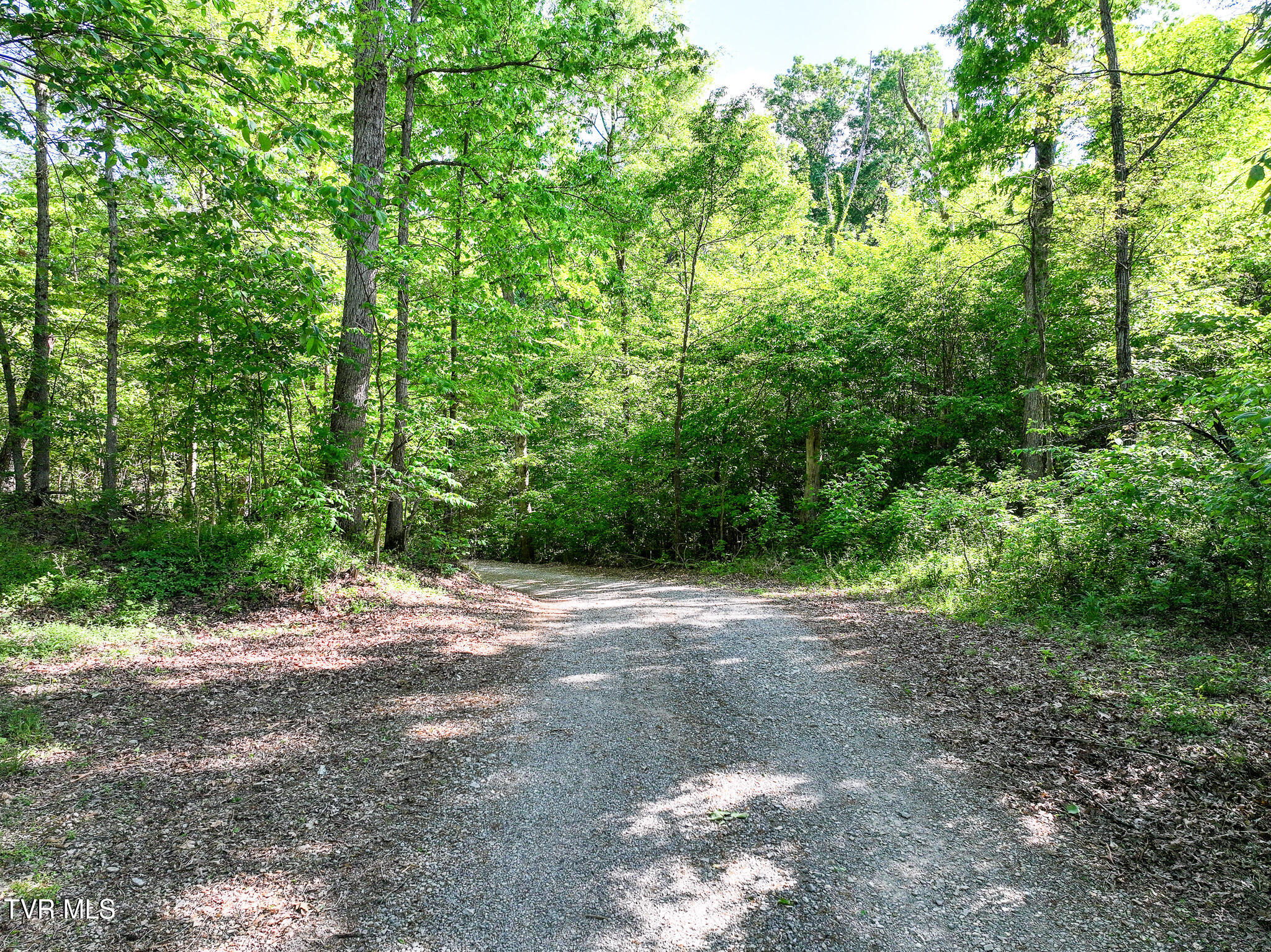 1980 South Allens Bridge Road Greeneville, TN 37743 - Photo 107 of 135 116