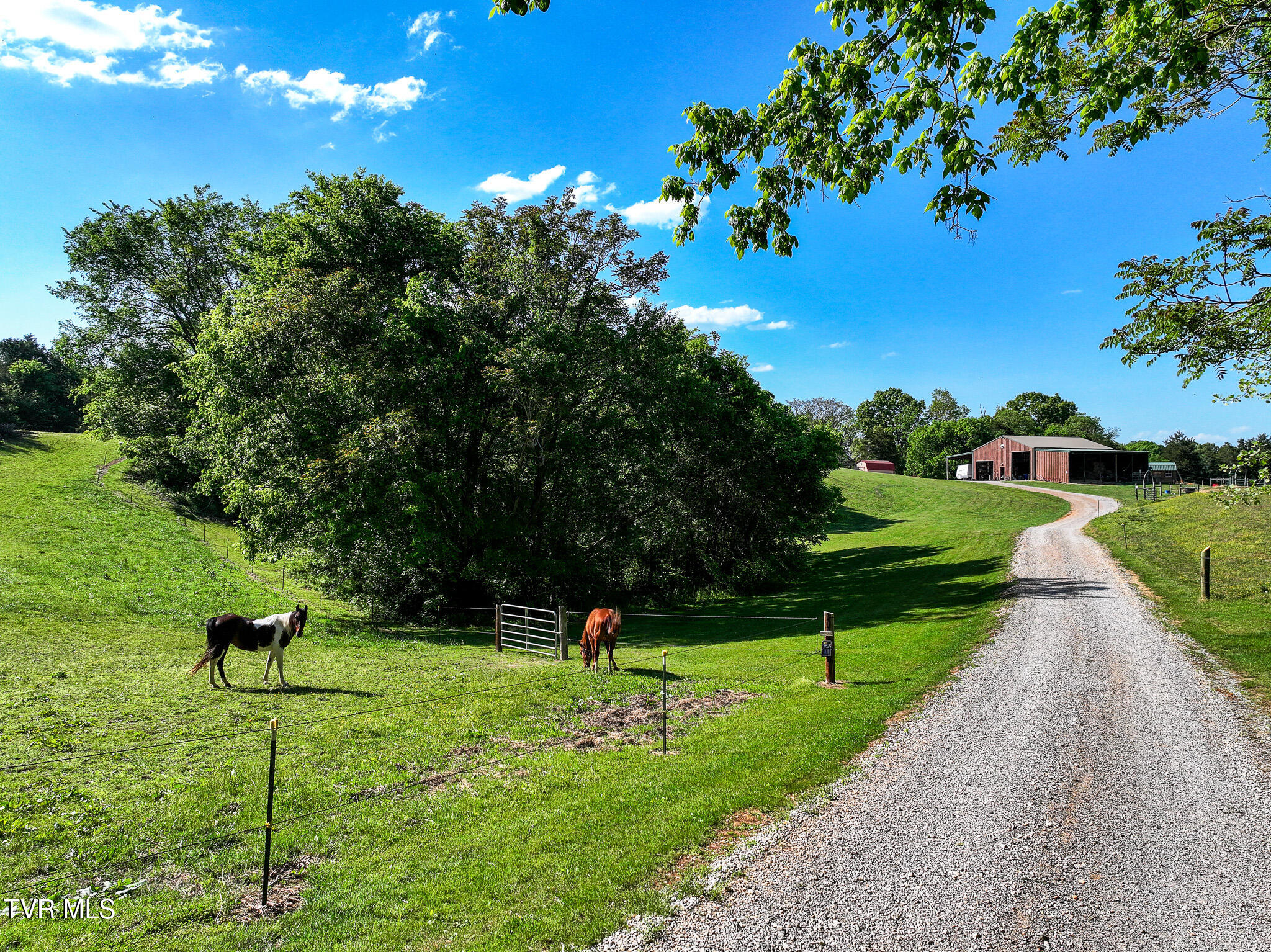 1980 South Allens Bridge Road Greeneville, TN 37743 - Photo 109 of 135 118