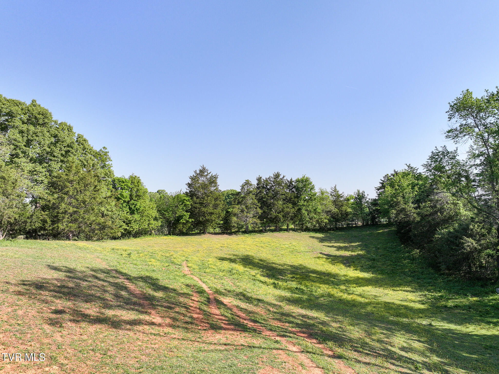 1980 South Allens Bridge Road Greeneville, TN 37743 - Photo 115 of 135 124