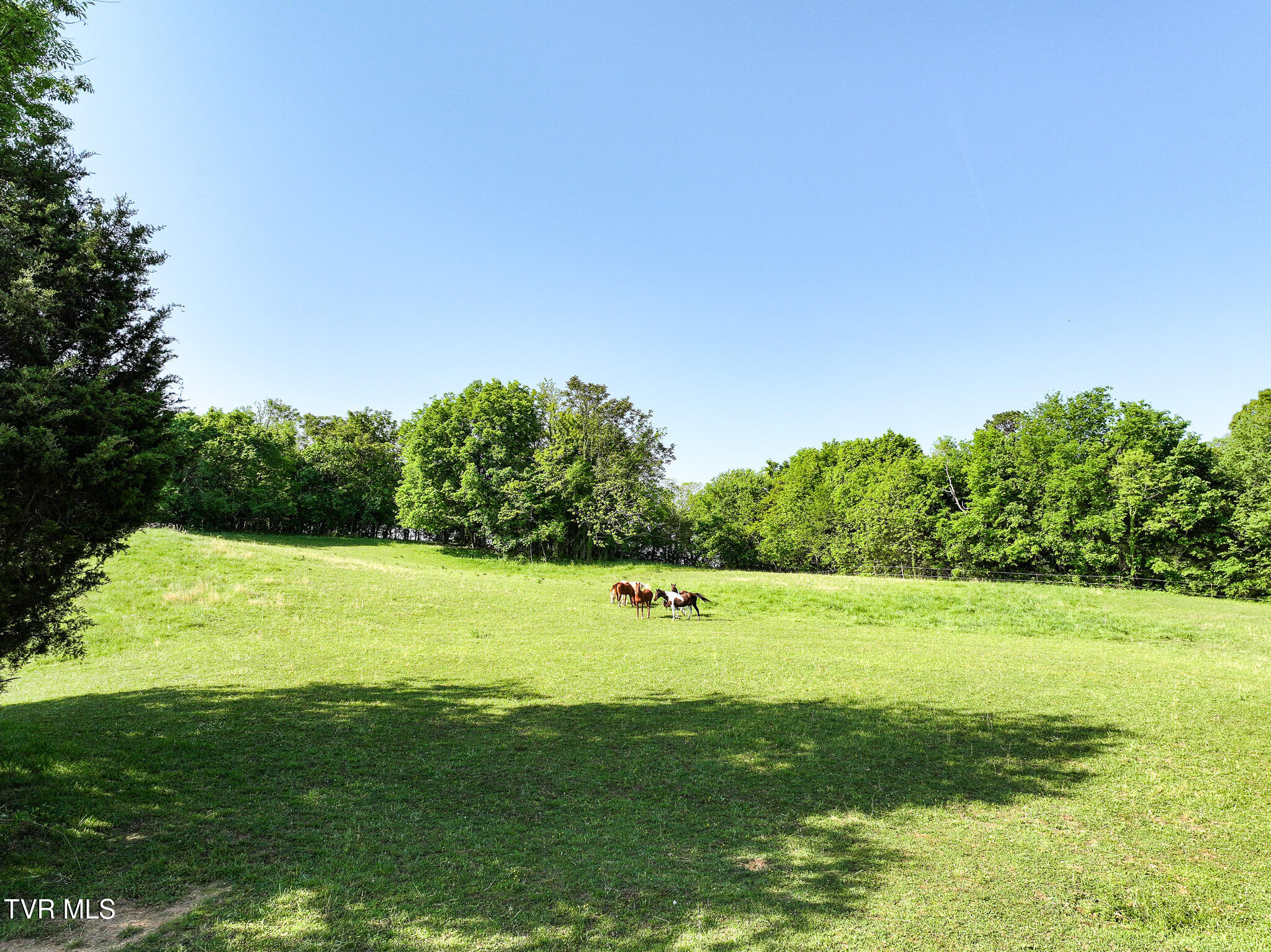 1980 South Allens Bridge Road Greeneville, TN 37743 - Photo 120 of 135 130