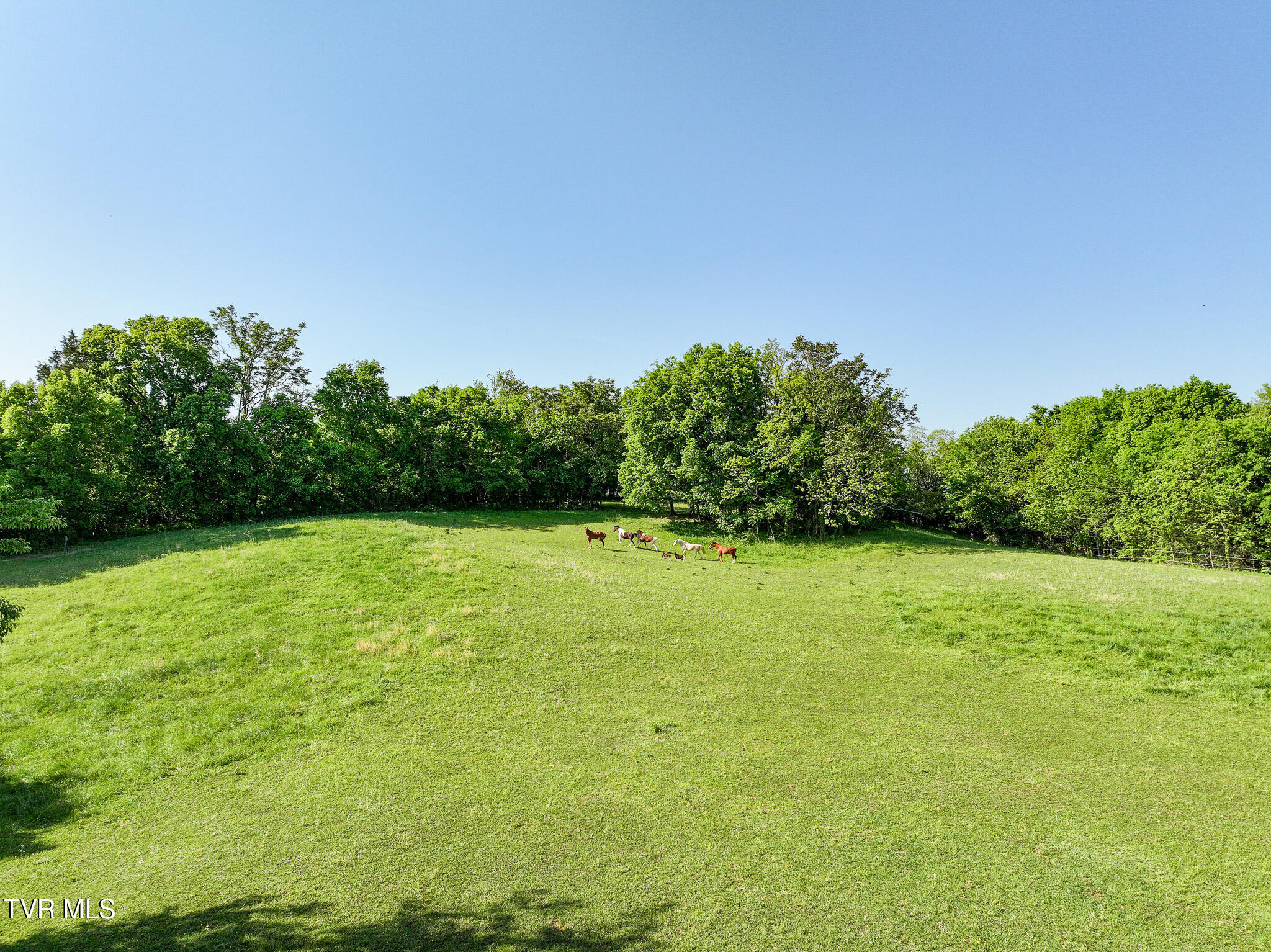 1980 South Allens Bridge Road Greeneville, TN 37743 - Photo 121 of 135 131