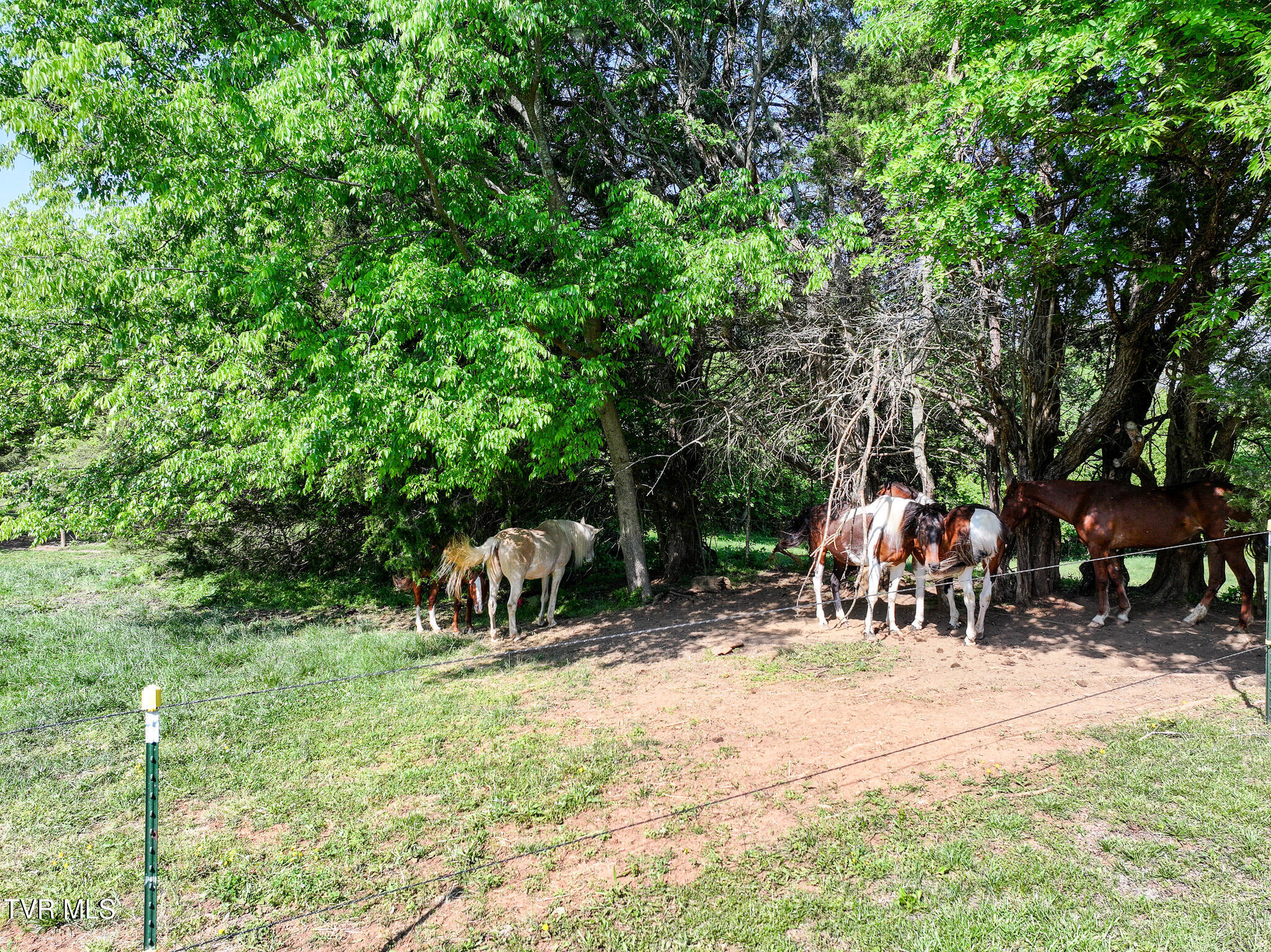 1980 South Allens Bridge Road Greeneville, TN 37743 - Photo 122 of 135 132