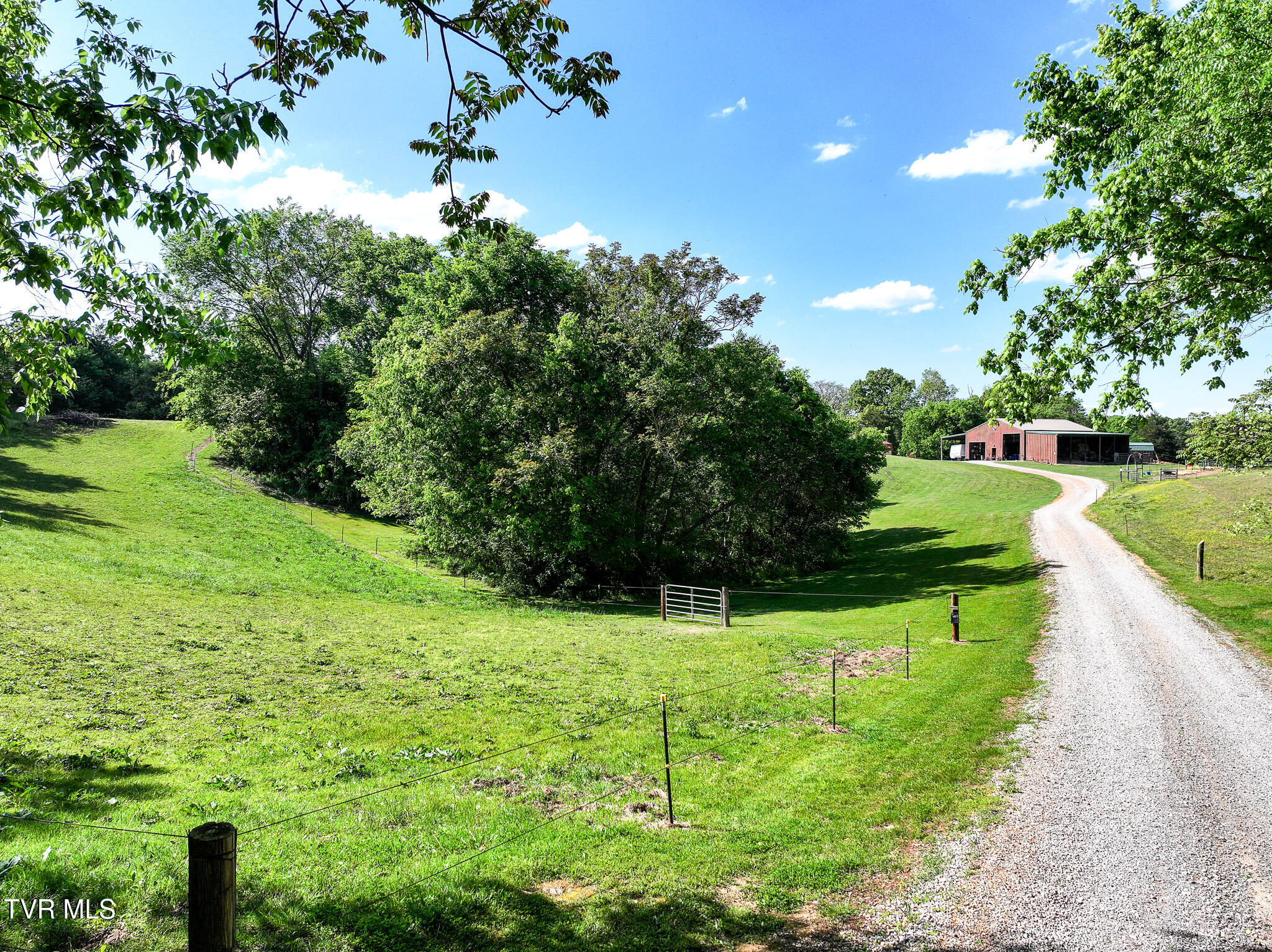 1980 South Allens Bridge Road Greeneville, TN 37743 - Photo 86 of 135 102