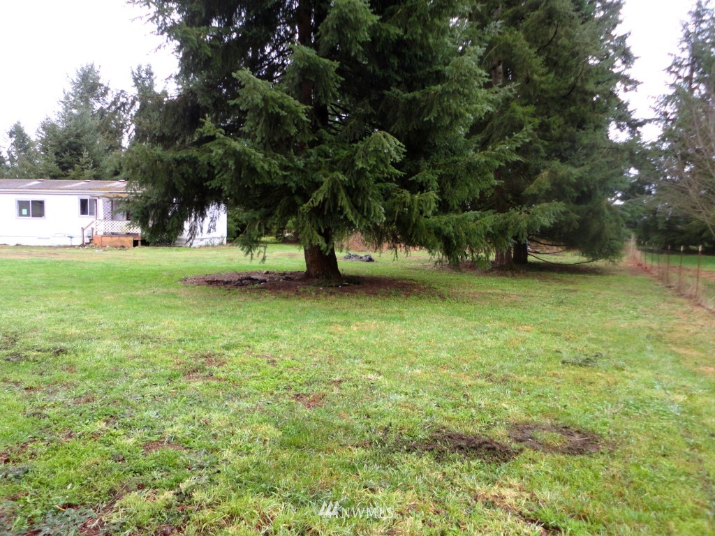 9240 173rd Avenue Southwest Rochester, WA 98579 - Photo 5 of 25