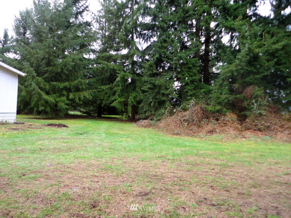 9240 173rd Avenue Southwest Rochester, WA 98579 - Photo 8 of 25
