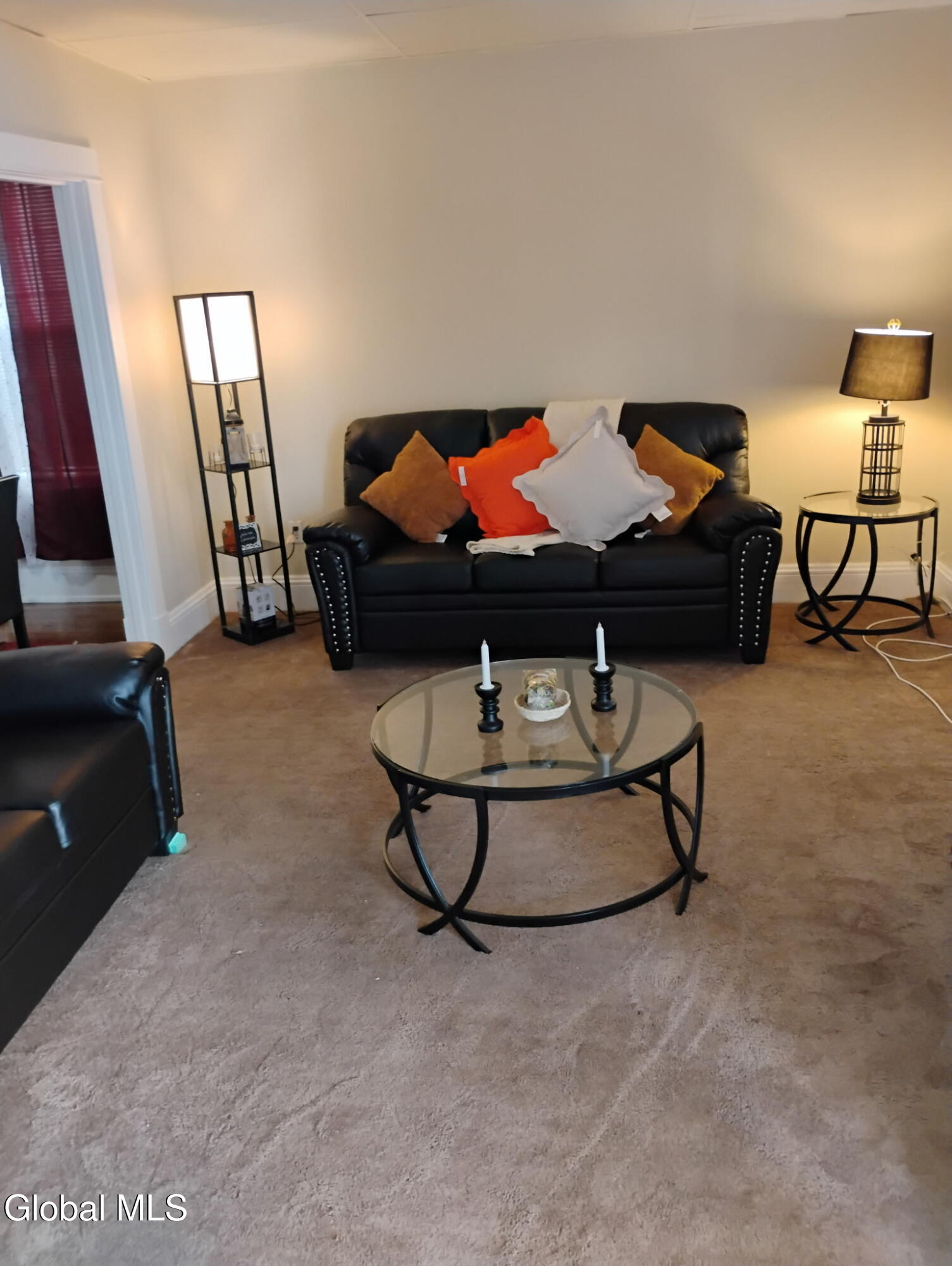 15 Arcadia Avenue, Unit 1 Albany, NY 12209 - Photo 4 of 12 Living Room