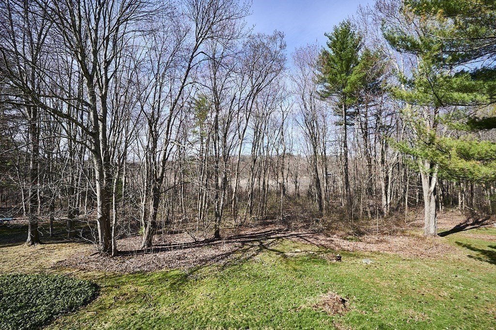 317 Florence Road Northampton, MA 01062 - Photo 29 of 38 a view of a yard with large trees
