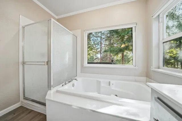 a view of a yard in front of a house with plants and large tree