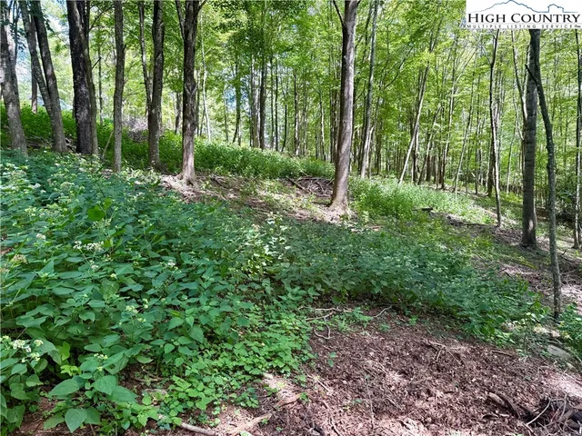 a view of outdoor space and garden