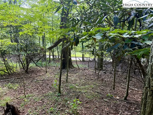 a backyard of a house with trees