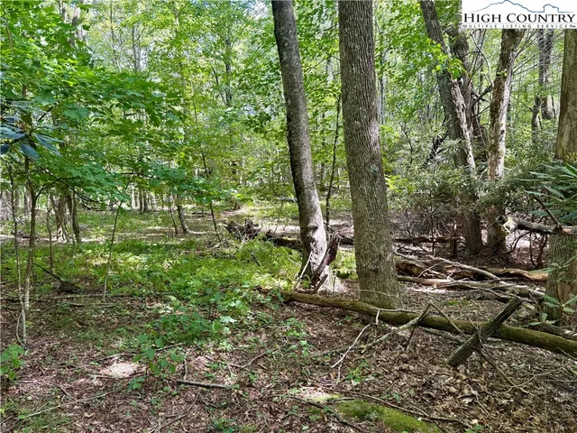 a view of outdoor space and green space