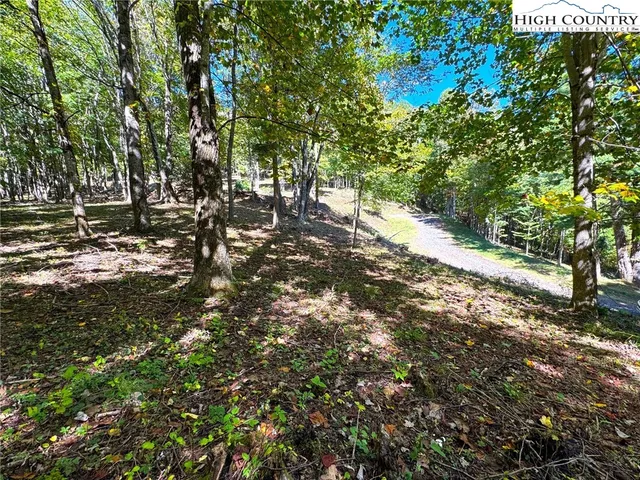 a view of a tree with a yard