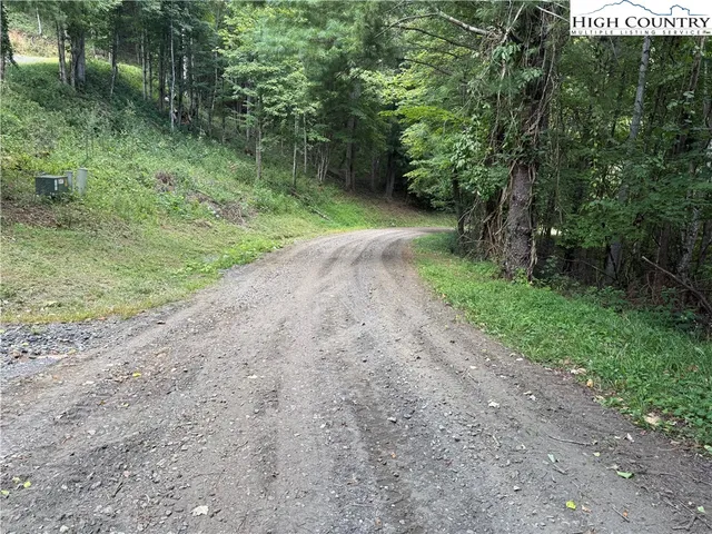 a view of a dirt road with trees in the background