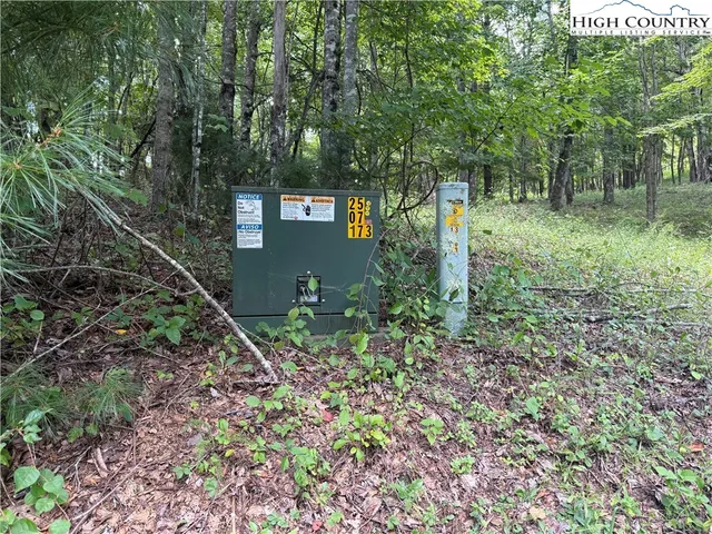 a green field with lots of trees in the background