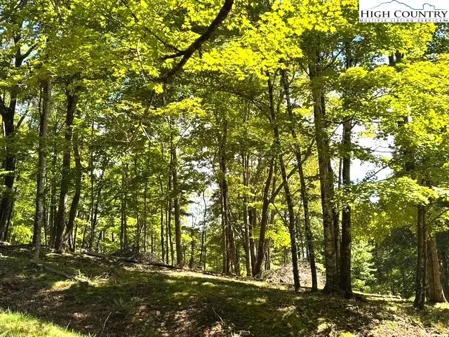 a view of outdoor space and a yard