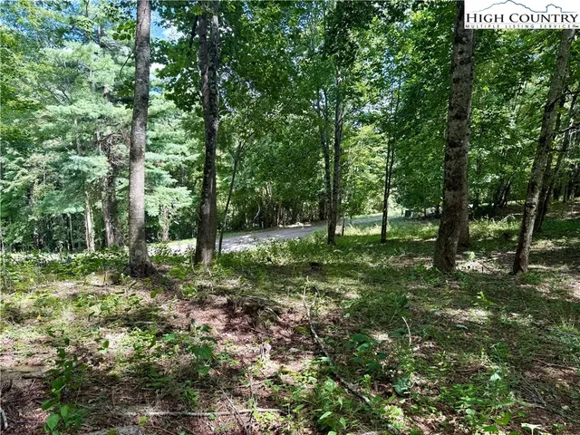 a view of outdoor space with green field and trees