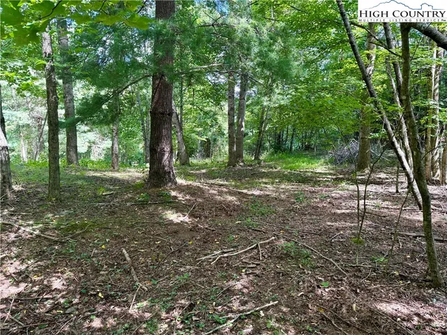 a view of outdoor space with trees