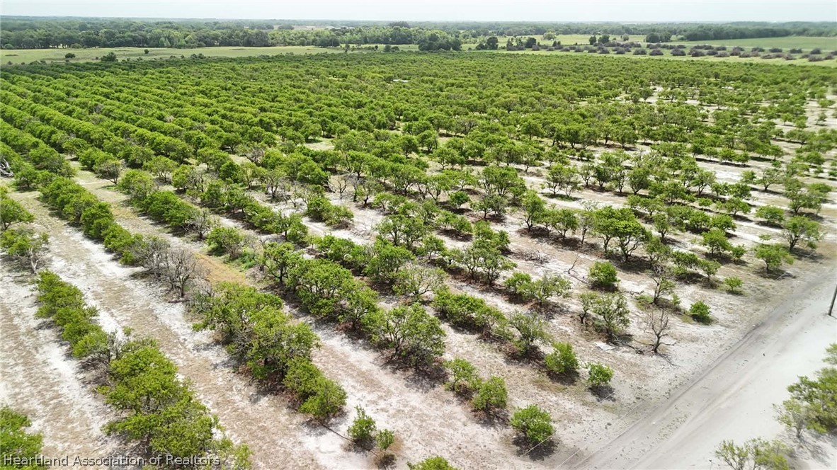 Crewsville Road Zolfo Springs, FL 33890 - Photo 6 of 34 view of an outdoor space and a lake view