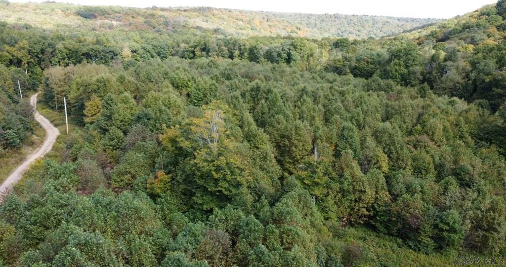 Moonshine Holler Road Boswell, PA 15531 - Photo 3 of 20 Gallery Image 3