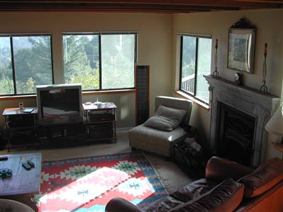 27 Holly Road Fairfax, CA 94930 - Photo 2 of 11 a living room with furniture a large window and a fireplace