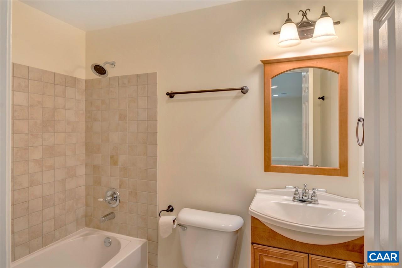 67 Amethyst Road Palmyra, VA 22963 - Photo 20 of 33 a bathroom with a sink a toilet and shower