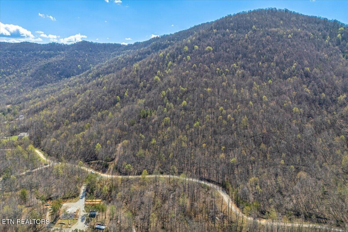 422 Crooked Branch Road Huntsville, TN 37756 - Photo 4 of 35 04-Lot Line A4