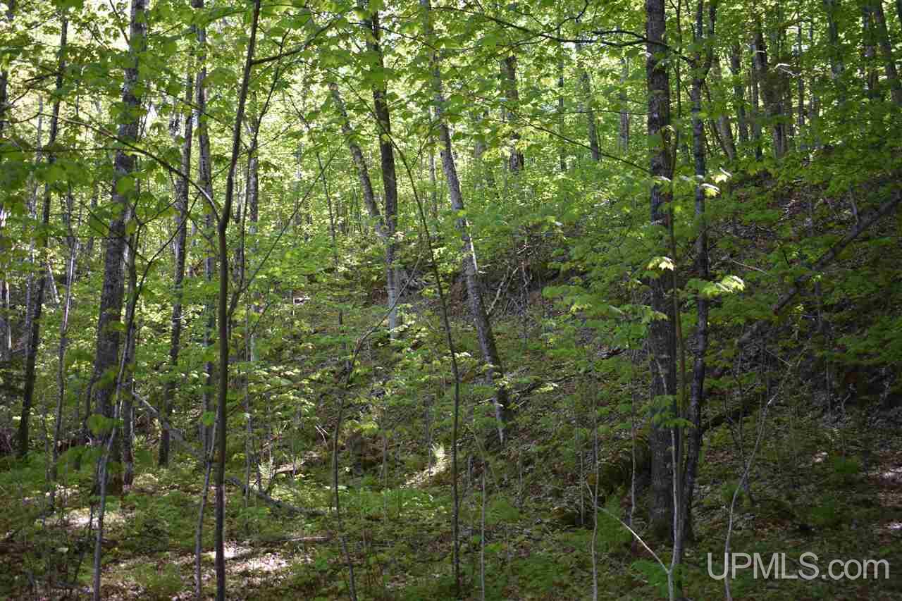 24-acres Co Rd Kb Big Bay, MI 49808 - Photo 46 of 50