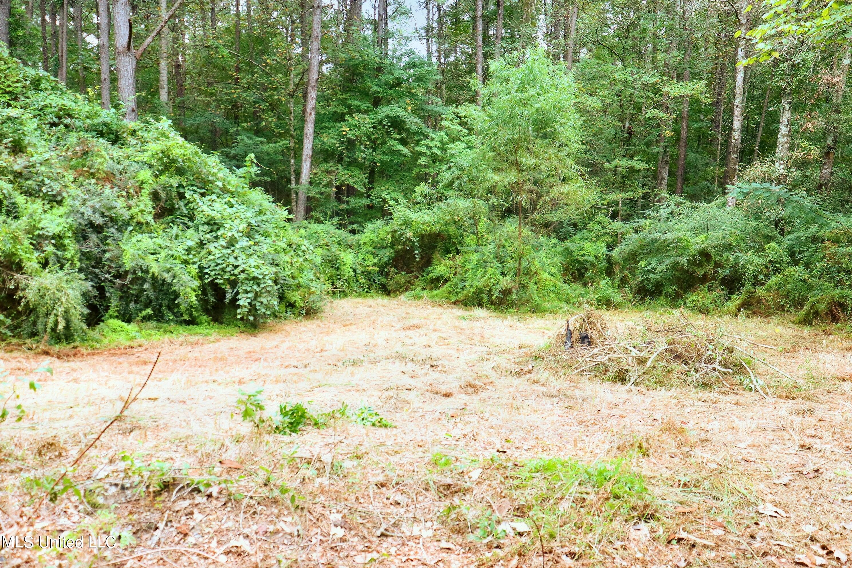 54 Ida Reyer Road Poplarville, MS 39470 - Photo 2 of 15 1eb01fab-35ec-4974-adb5-d2638392d239