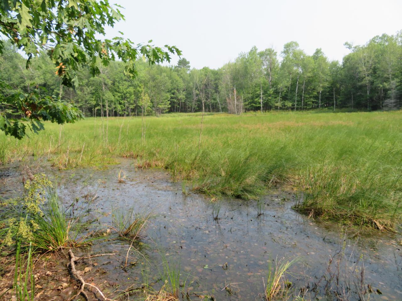 On Garrett's Trail, Unit LOT 32 Rhinelander, WI 54501 - Photo 8 of 16 Gallery Image 8